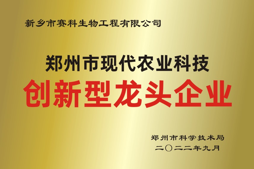 创新型龙头企业